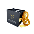 Load image into Gallery viewer, Duet Box with 2 Bronze Lovetuners
